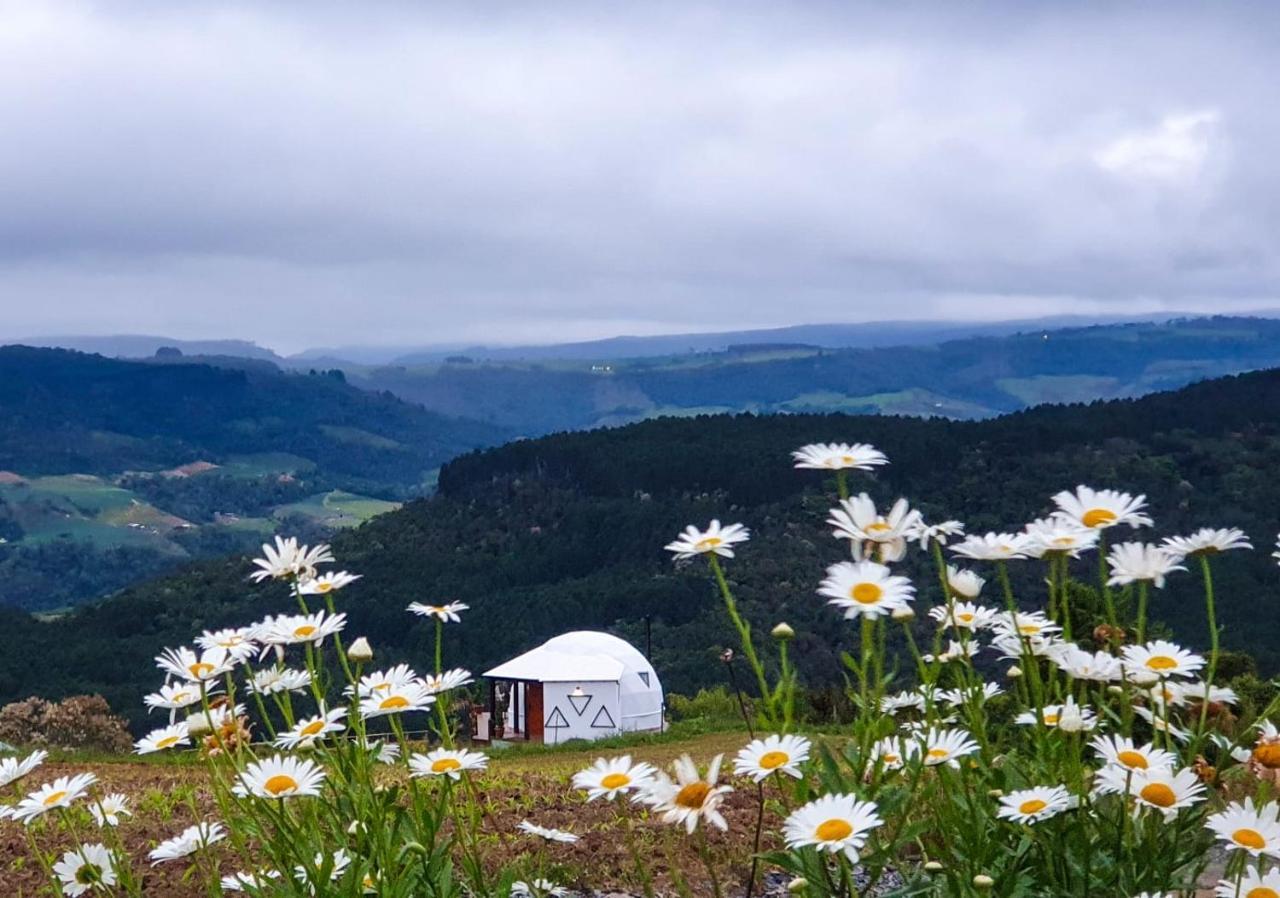 The Space - Welcome To The Sky - Domo Geodesico Villa อัลเฟรโด วากเนอร์ ภายนอก รูปภาพ